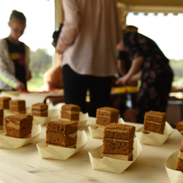 Vaišės užsakomos papildomai