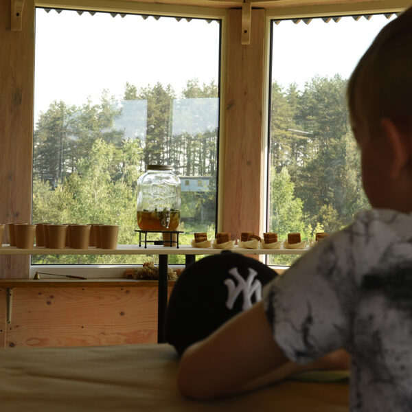 Vaišės užsakomos papildomai