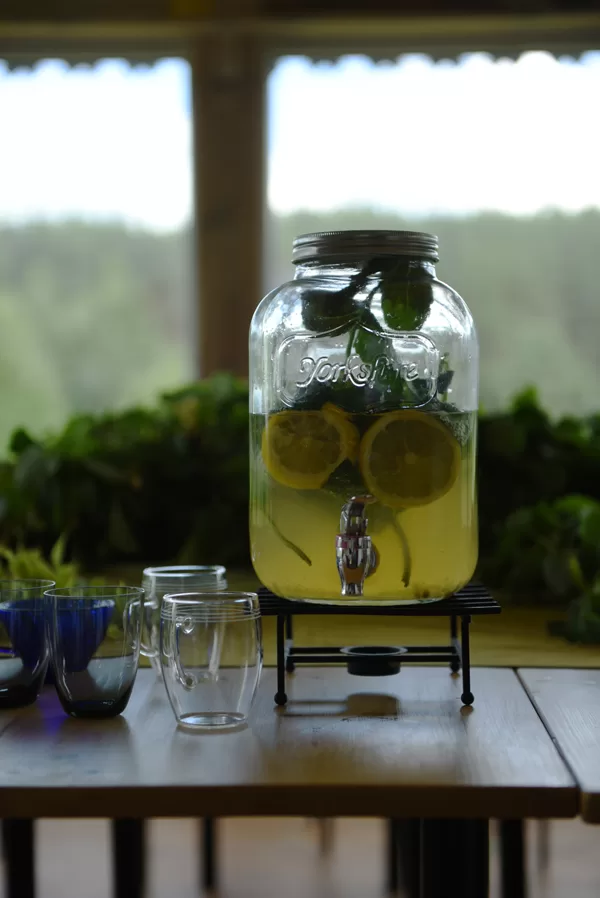 Medaus limonadas (užsakomas papildomai)