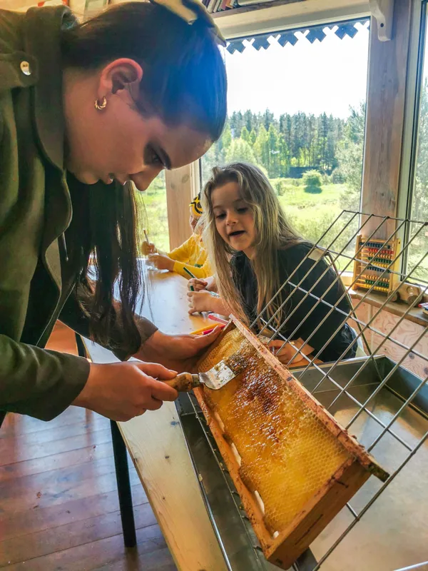 O tada saldžiausias užsiėmimas pasaulyje-medaus sukimas. Bet pirmiausia atakuiojame korį.