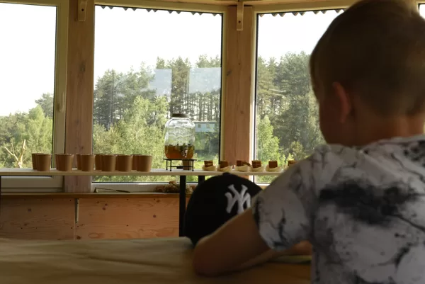 Vaišės užsakomos papildomai