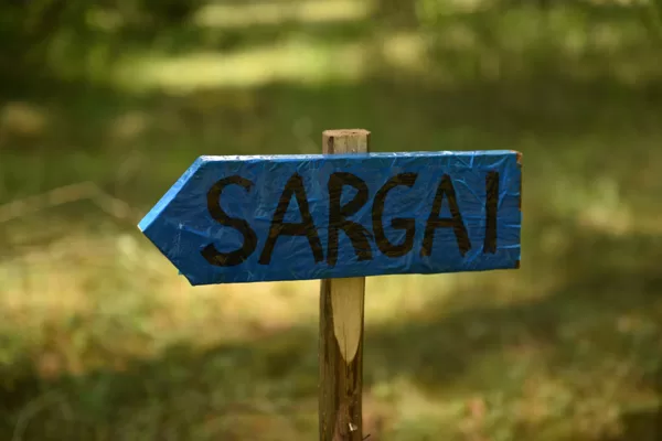 Bičių apsaugos štabas