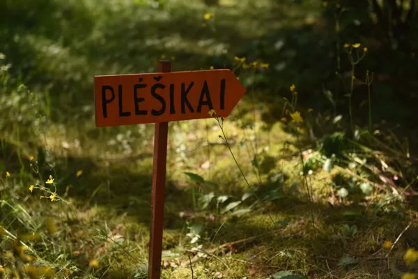 Širšių lizdas